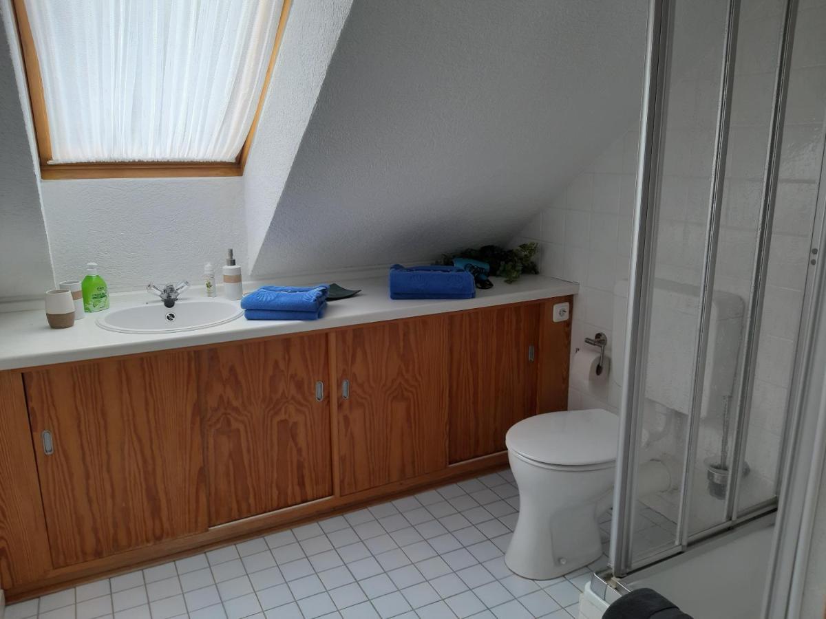 Ferienwohnung Schwalbennest 해네라우하데마스첸 외부 사진