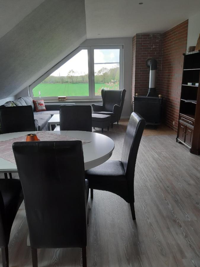 Ferienwohnung Schwalbennest 해네라우하데마스첸 외부 사진