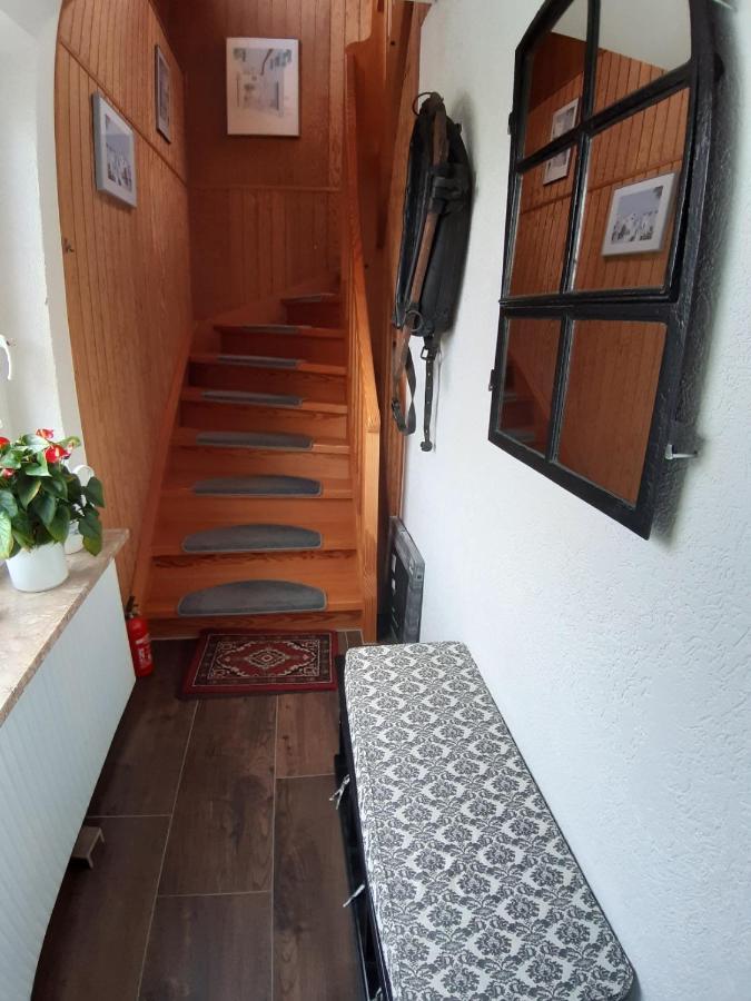 Ferienwohnung Schwalbennest 해네라우하데마스첸 외부 사진