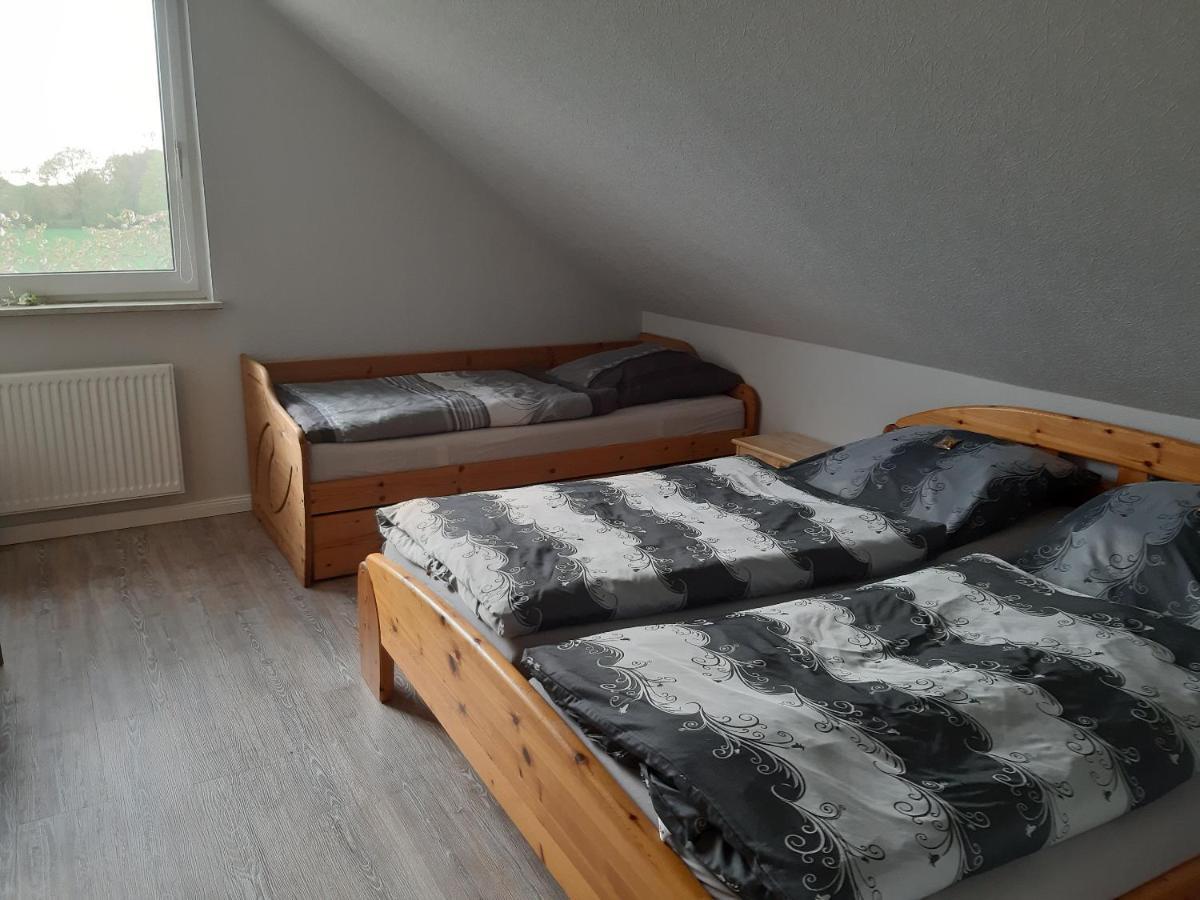 Ferienwohnung Schwalbennest 해네라우하데마스첸 외부 사진
