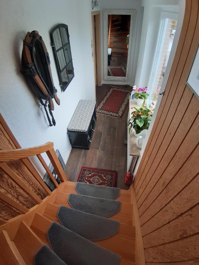 Ferienwohnung Schwalbennest 해네라우하데마스첸 외부 사진