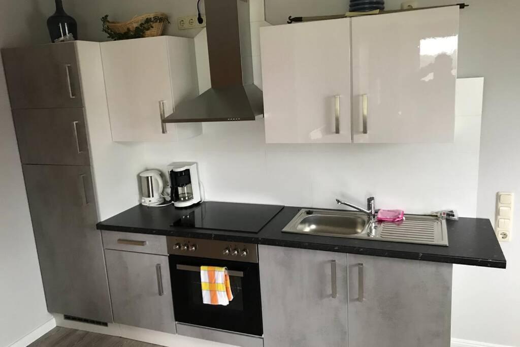 Ferienwohnung Schwalbennest 해네라우하데마스첸 외부 사진