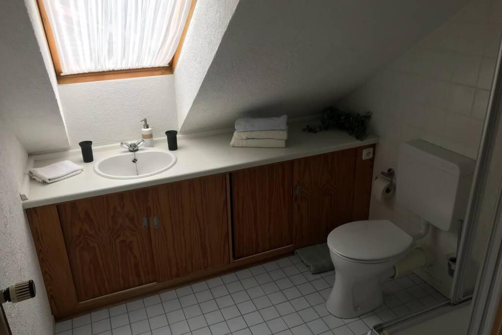 Ferienwohnung Schwalbennest 해네라우하데마스첸 외부 사진